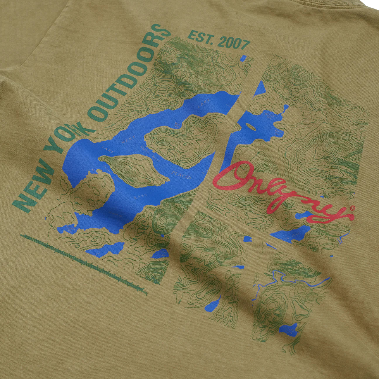 Only NY Lake Placid T-Shirt - Olive
